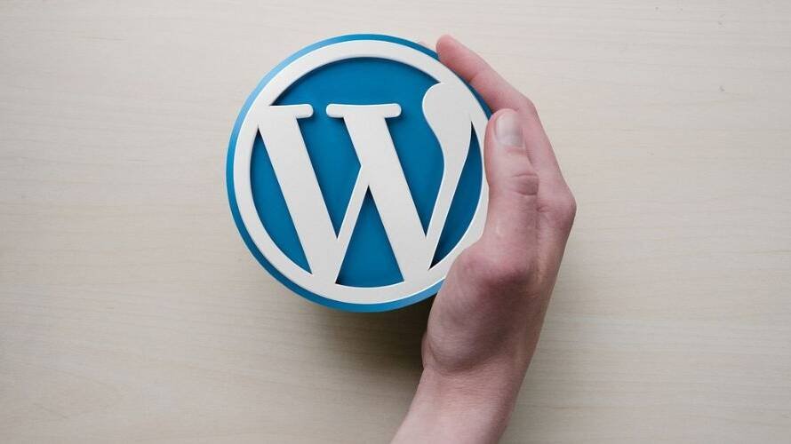 image shown Hand holding a 3D WordPress logo on a light wooden surface.