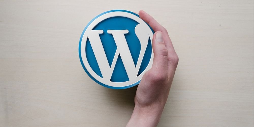 image shown Hand holding a 3D WordPress logo on a light wooden surface.